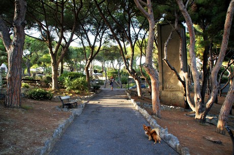 bordighera