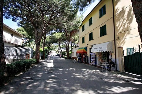 campo-nell-elba