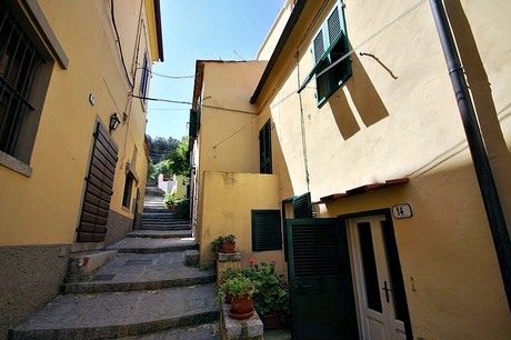 campo-nell-elba