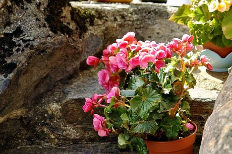 cannero-riviera-kirche