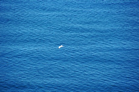 castelsardo