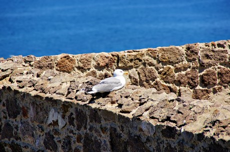 castelsardo