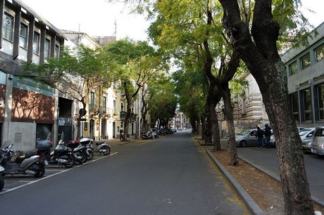 Catania