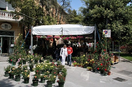 blumenmarkt