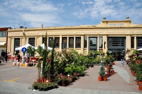 blumenmarkt