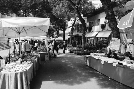 blumenmarkt