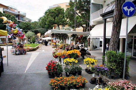 blumenmarkt