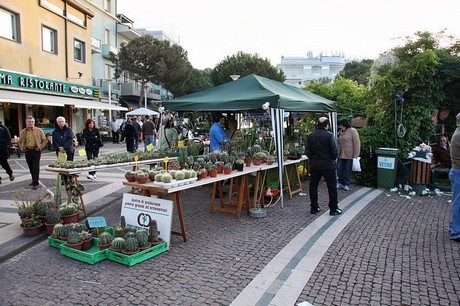 blumenmarkt