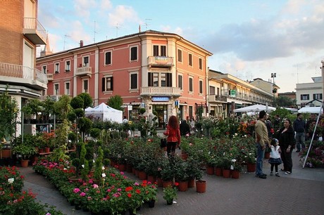 blumenmarkt