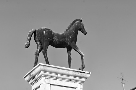 cavallino-treporti