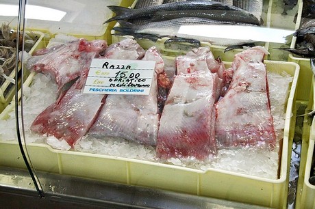 cesenatico-Markthalle