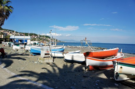 cogoleto