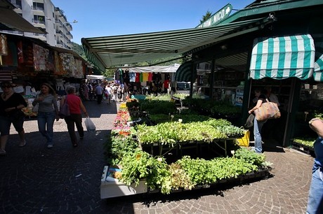 como-markt