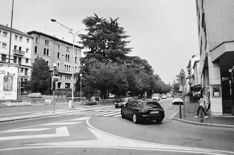 conegliano