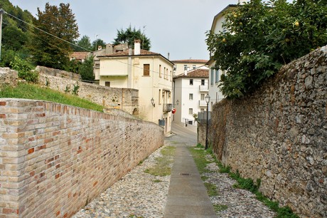 conegliano