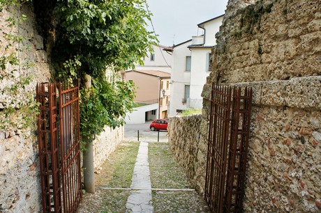 conegliano