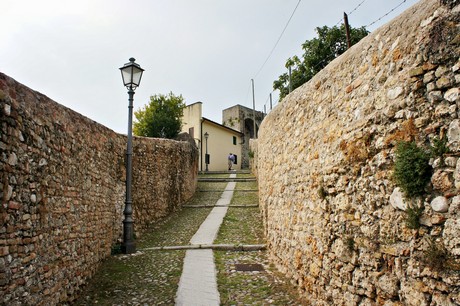 conegliano