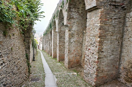 conegliano