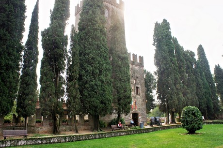 conegliano
