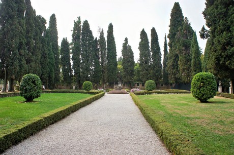 conegliano