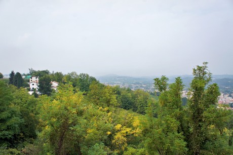 conegliano