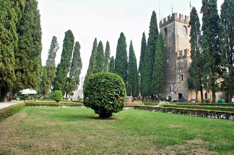 conegliano
