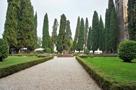 conegliano
