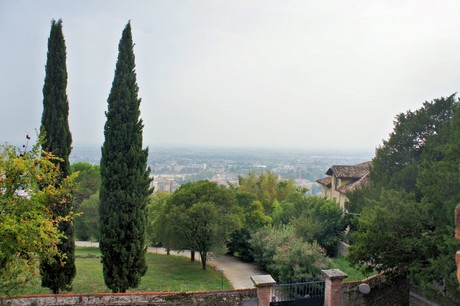 conegliano