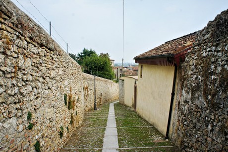 conegliano