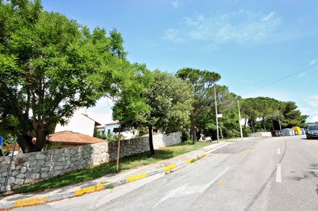 duino
