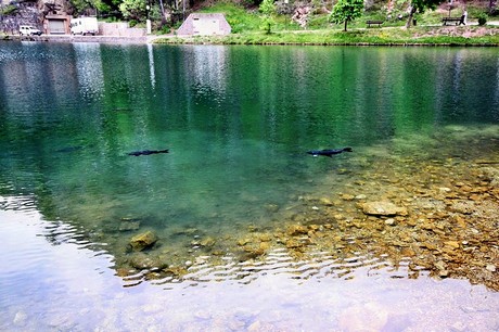 lago-smeraldo