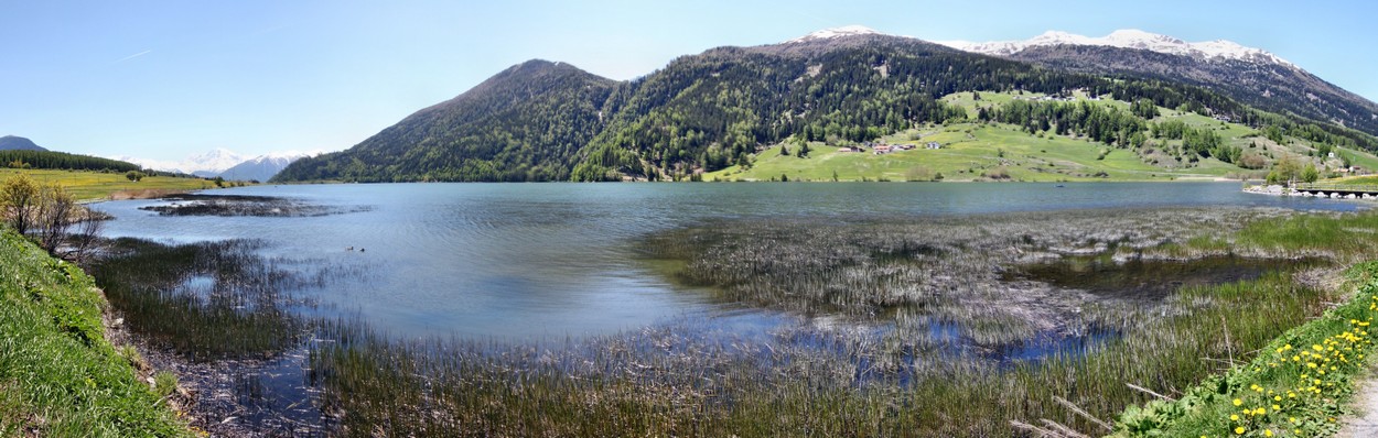 Graun - Haidersee