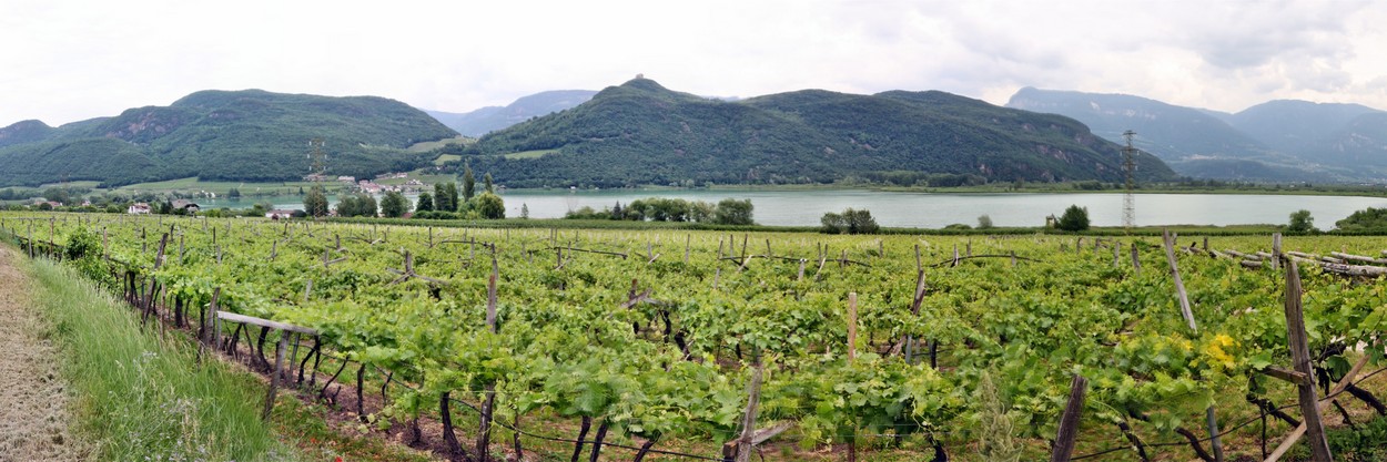 Kalterer See ( Lago di Caldaro )