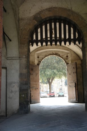lucca