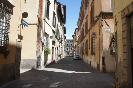 lucca