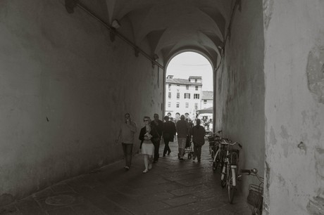 lucca
