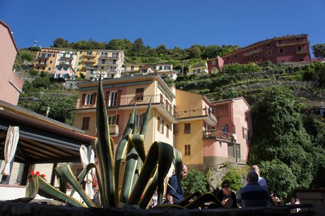 manarola