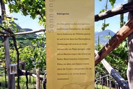 meran-trauttmansdorff