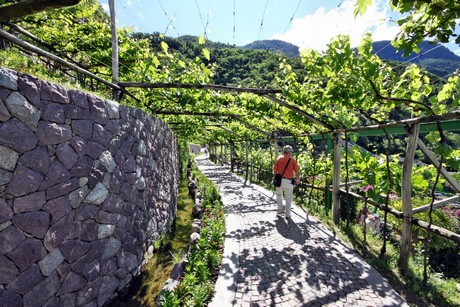 meran-trauttmansdorff