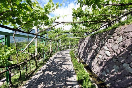 meran-trauttmansdorff