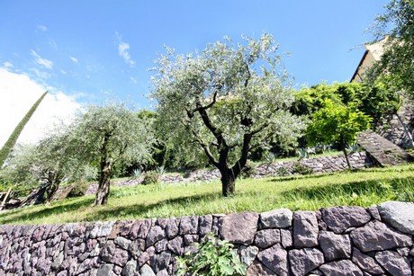 meran-trauttmansdorff