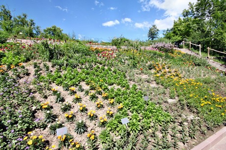 meran-trauttmansdorff