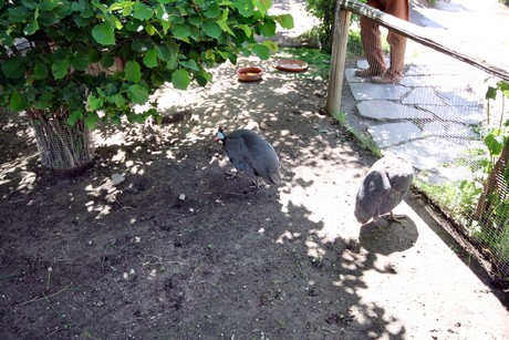 meran-trauttmansdorff