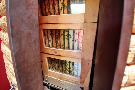 meran-trauttmansdorff