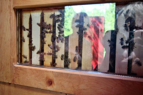 meran-trauttmansdorff