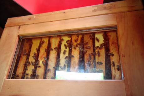 meran-trauttmansdorff