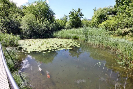 meran-trauttmansdorff