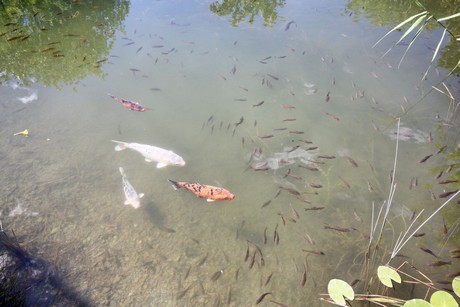 meran-trauttmansdorff