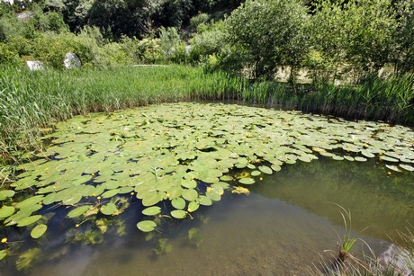 meran-trauttmansdorff