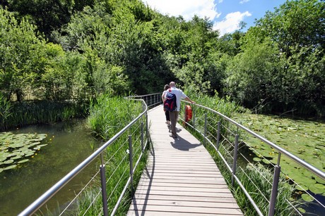 meran-trauttmansdorff